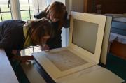 Consulting the Felbrigg Hall architectural drawings.