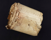 The roll before conservation.