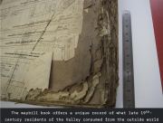 Detail of a book showing badly damaged pages in need of conservation