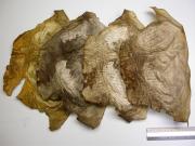 The fire damaged Great Parchment Book before conservation. Image courtesy of London Metropolitan Archives.