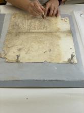 Conservation in progress.