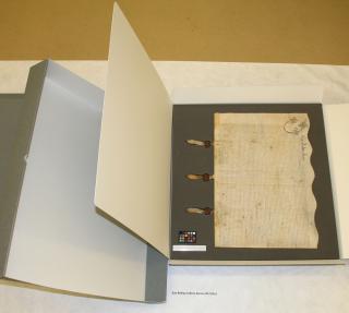The Beverley charters rehoused (NMCT grant 2011). Image: E Riding of Yorkshire Archives