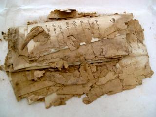 Papers of the 1st Duke of Wellington, which have since been conserved with a NMCT/Pilgrim Trust grant.
