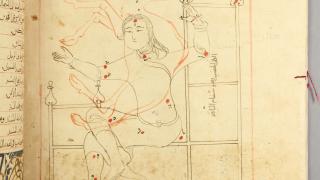 Detail of the Book of the Constellations of the Fixed Stars