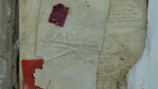 Detail showing the poor condition of the dye books.