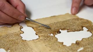 Self-adhesive tape on an unglazed leaf.